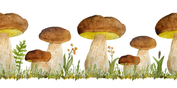 Elle çizilmiş suluboya, porcini, yenilebilir mantarın yatay sınır çizimi. Orman koruluğu saltanatı. Vahşi, çiğ, sağlıklı organik sindirim. Sonbahar yaz mantarı. Kral