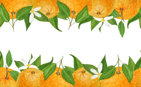Aquarell handgezeichnete nahtlose horizontale obere untere Randabbildung von leuchtend orangefarbenen Mandarinen-Zitrusfrüchten mit grünen Blättern und Blüten. Für Lebensmittel Bio-Vegetarier-Siegel. Natürliche — Stockfoto