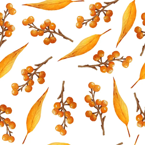 Bezszwowy akwarela ręcznie rysowane wzór ilustracja z pomarańczowy elegancki jesień jagody jagody małe gałęzie i liście liści. Naturalne organiczne projektowanie lasów z drewna botaniki lasu we wrześniu — Zdjęcie stockowe