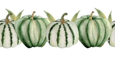 Suluboya el, yeşil balkabaklarıyla kusursuz yatay sınır çizdi. Organik çiftçiler besin değeri olmayan gıdalar. Cadılar Bayramı Şükran Günü tasarım illüstrasyonu. Dekorasyon sonbahar hasat etiketi.