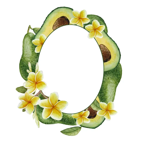 Plantilla de marco redondo oval acuarela dibujada a mano con fruta de aguacate tropical saludable verde. Árbol mexicano súper comida exótica planta botánica dieta vegetariana y elegante plumeria frangipani amarillo —  Fotos de Stock