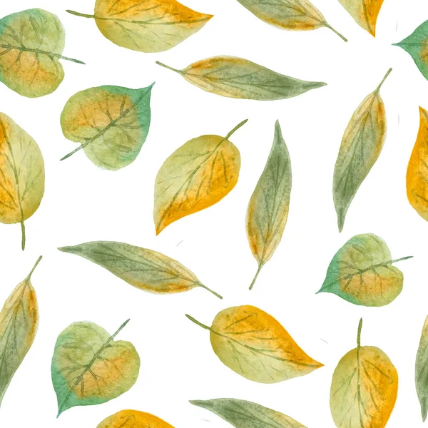 Nahtlos von Hand gezeichnetes Aquarellmuster mit grün-gelben Wildkräuterblättern im Waldwald. Natürliche organische Pflanzen, florales botanisches Design für Tapeten mit Textilverpackungspapier. Herbstherbst. — Stockfoto