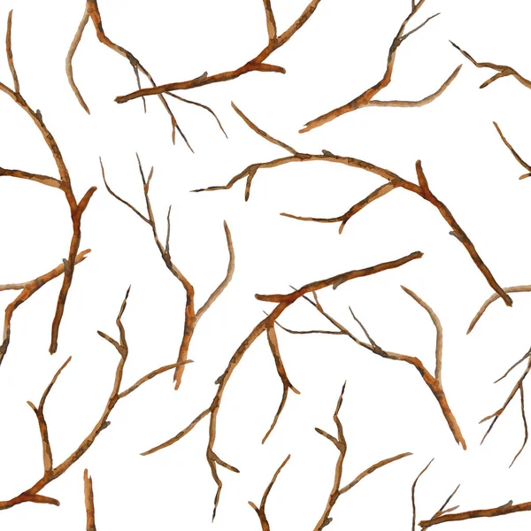 Watercolor hand drawn seamless pattern with brown branches twigs without leaves. Autumn fall winter illustration, wood woodland forest ecology environment design. Outdoor rustic elegant elements. — Stock Photo, Image