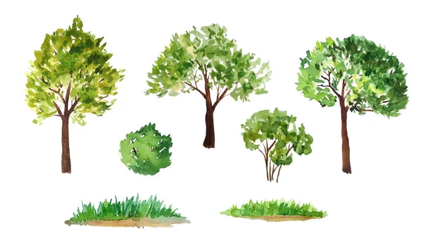 Hand drawn watercolor illustration set of green summer spring tree with brown trunk bush grass. Painted landscape design element. Eco ecological biology environment concept. Forest wood woodland — Stock Photo, Image