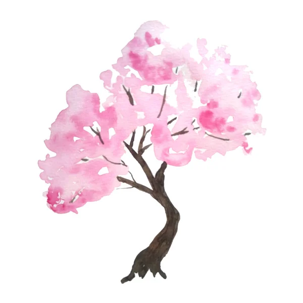 Aquarelle dessin à la main illustration de design de cerisier rose arbre sakura en fleurs de fleurs. Festival Hanami culture japonaise traditionnelle. Nature paysage plante. Printemps mars avril concept. — Photo