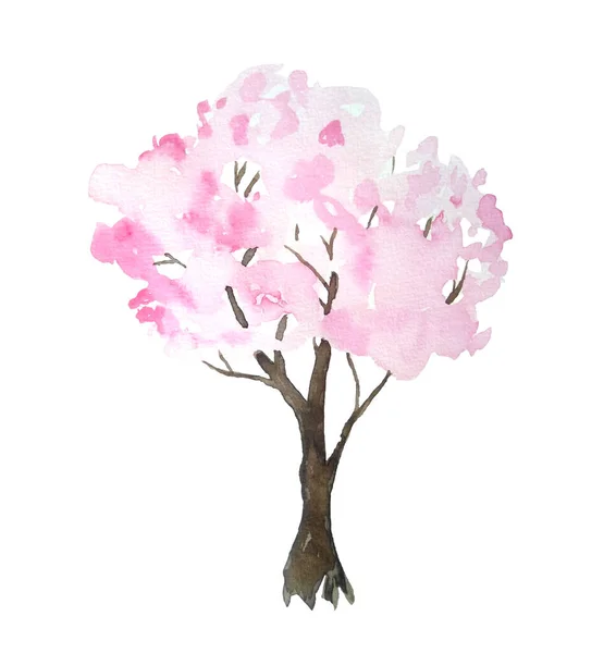 Aquarelle dessin à la main illustration de design de cerisier rose arbre sakura en fleurs de fleurs. Festival Hanami culture japonaise traditionnelle. Nature paysage plante. Printemps mars avril concept. — Photo