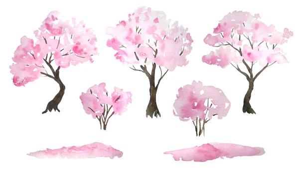 Watercolor hand drawn design elements illustration of pink cherry sakura tree in bloom blossom flowers, fallen petals, bushes. Hanami festival traditional japan japanese culture. Nature landscape — Stock Photo, Image