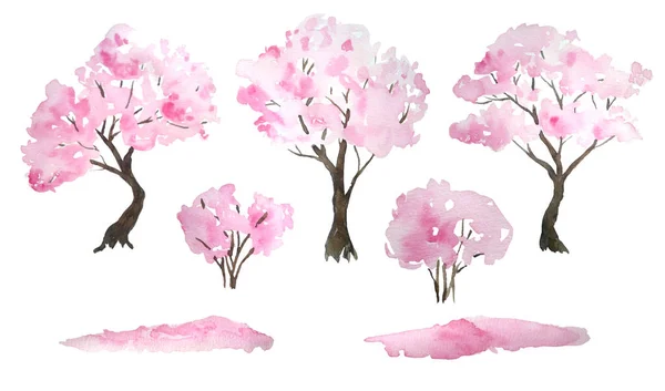 Suluboya el çizimi tasarım elementleri çiçek açan kiraz ağacı, düşen yapraklar, çalılar. Hanami festivali geleneksel Japon kültürü. Doğa manzarası