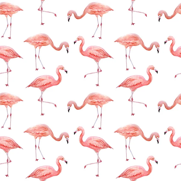 Seamless pattern of pink flamingo. Tropical exotic bird rose flamingos isolated on white background. Watercolor hand drawn realistic animal illustration. Summer bird wildlife. Print for wrapping paper