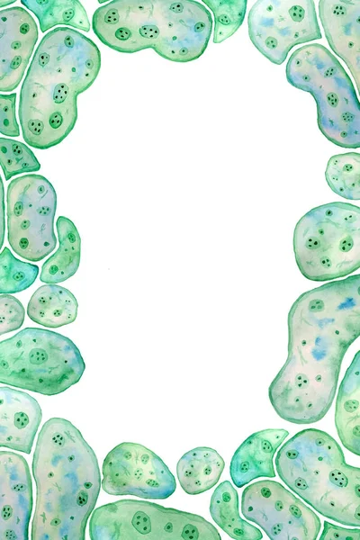 Handgetekende rand pagina frame van eencellige groene alg Chlorella Spirulina met grote cellen single-cellen met lipide onkruid druppels. Aquarel illustratie van macro zoom micro-organisme bacteriën — Stockfoto