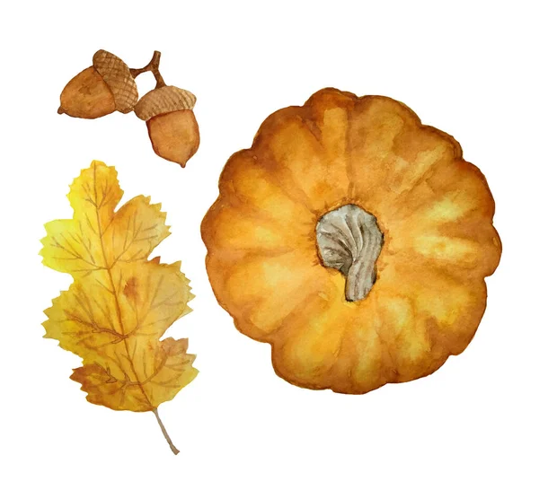 Aquarell handgezeichnetes Set von orangefarbenem Kürbis von oben, Oktober Herbst Blätter Blatt und Eichel. Wald Holz Garten Ernte Naturkonzept. Erntedankdekoration gestaltet Posterelemente. — Stockfoto