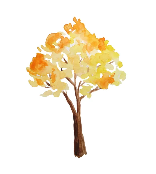 Acuarela ilustración dibujada a mano de otoño árbol de otoño en bosque bosque bosque parque. Al aire libre paisaje brillante salvaje. Naturaleza camping diseño, actividades de otoño al aire libre. Naranja amarillo colores eco temporada. — Foto de Stock