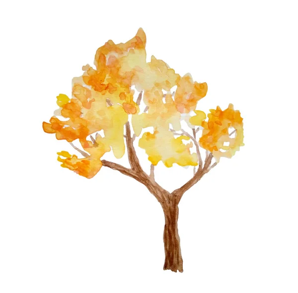 Акварельна рука намальована ілюстрація осіннього осіннього дерева в лісовому лісовому парку. Відкритий дикий пейзаж. Природний дизайн кемпінгу, осінні заходи на відкритому повітрі. Помаранчевий жовтий теплий колір еко сезону . — стокове фото