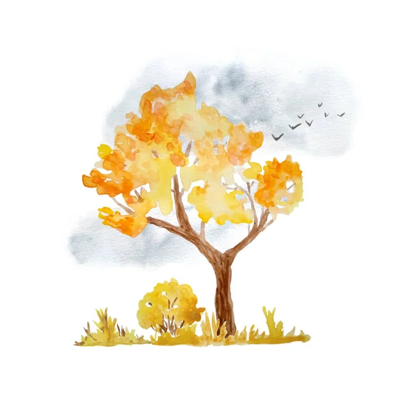 Akvarel ručně kreslené ilustrace s oranžově žlutým podzimem podzim vysoký strom, keř nebe a létající ptáci. divoký les lesní venkovní dobrodružství kempování, pro milovníky přírody. Sériový design javorového dubu. — Stock fotografie
