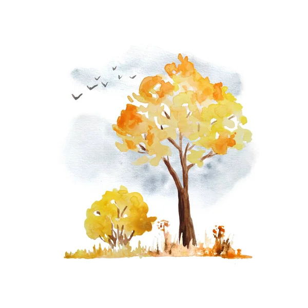 Watercolor mão desenhada ilustração com laranja amarelo outono queda árvore, arbusto, céu e pássaros voadores. Floresta selvagem floresta aventura ao ar livre parque de campismo, para os amantes da natureza. Carvalho de bordo de design de estação. — Fotografia de Stock