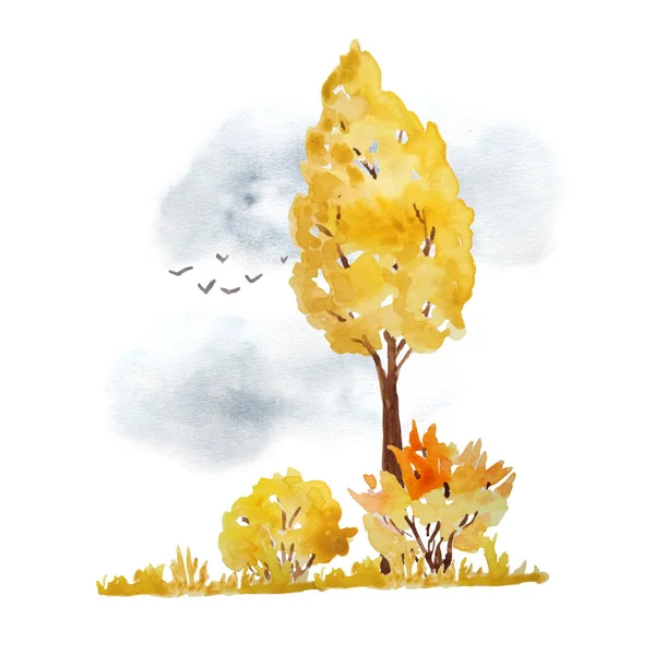 Акварельна рука намальована ілюстрація з оранжево-жовтим осіннім деревом, кущами, небом та літаючими птахами. Дикий лісовий ліс відкритий пригоди кемпінг парк для любителів природи. Дизайн сезону тополя . — стокове фото