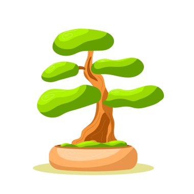 Tencerede parlak, izole bonsai ağacı. Küçük ağaç. Vektör izole edildi. Beyaz arka plan. Düz biçim