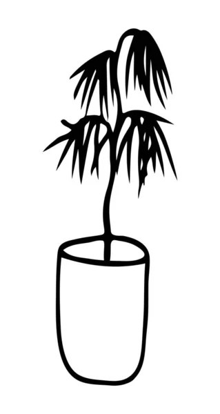 Tropická Dlaň Květináči Domácí Rostlina Styl Osnovy Vektorový Izolovaný Prvek — Stockový vektor