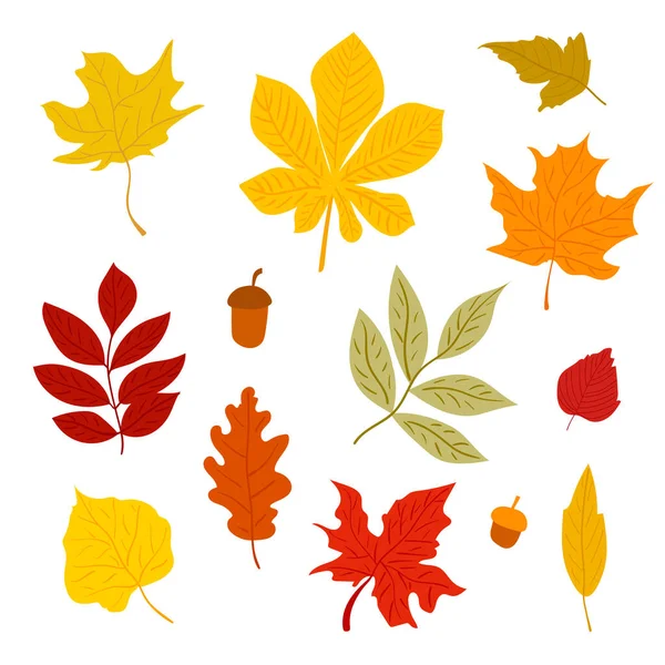 Farbenfrohe Herbstblätter Gesetzt Vektorisolierte Elemente Esp10 — Stockvektor