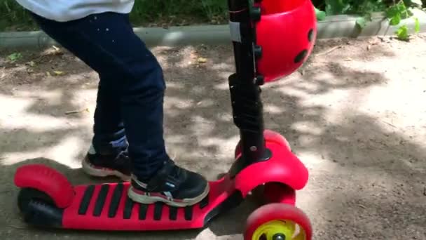 Small Child Rides His Red Scooter Road Park Children Sports — Stock Video