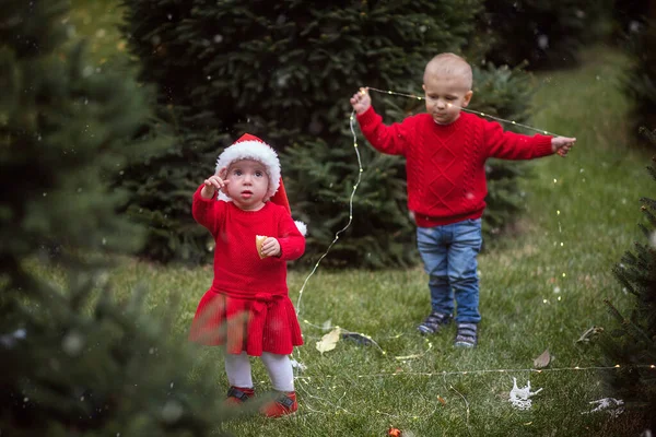 Lillebror Och Syster Juldräkter Och Mössor Dekorerar Rådjur Gården Med — Stockfoto