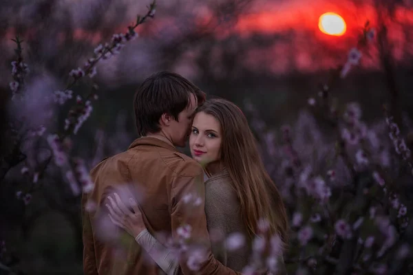 在夕阳西下 年轻夫妇在繁茂的花园的背景下拥抱和亲吻 一个漂亮的女孩看着相机 一个男人亲吻着她的嘴唇和额头 结婚周年庆祝 — 图库照片