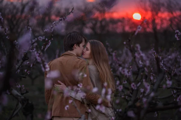 Casal Jovem Amor Abraço Beijo Fundo Jardins Florescendo Durante Pôr — Fotografia de Stock