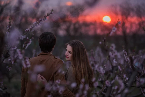 Casal Jovem Amor Abraço Beijo Fundo Jardins Florescendo Durante Pôr — Fotografia de Stock