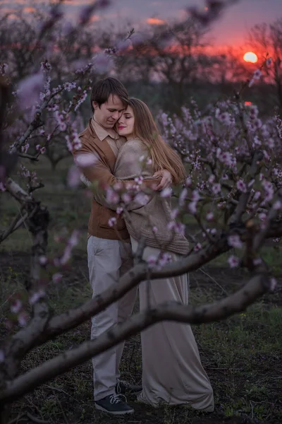 Unga Par Kärlek Kram Och Kyss Bakgrunden Blommande Trädgårdar Solnedgången — Stockfoto