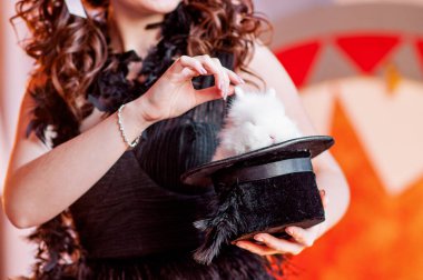 Siyah şapkalı beyaz bir tavşan oturuyor. Sihirli performans, şapkadan tavşan görüntüsü peri masalındaki sihirbazın odak noktası. Çocuklar için gösteri, eğlence, gezici karnaval uzakta