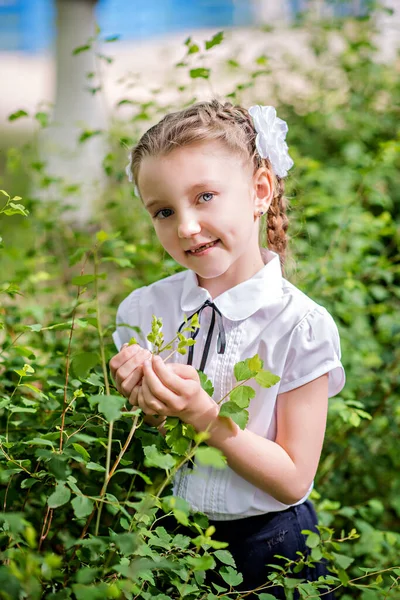 Liten Blond Skolflicka Skoluniform Med Vita Rosetter Flätor Går Första — Stockfoto