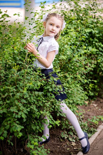 Klein Blond Schoolmeisje Een Schooluniform Met Witte Strikken Staartjes Gaat — Stockfoto