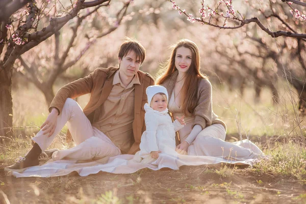 Šťastná Rodina Odpočívá Pikniku Kvetoucích Broskvových Zahradách Při Západu Slunce — Stock fotografie