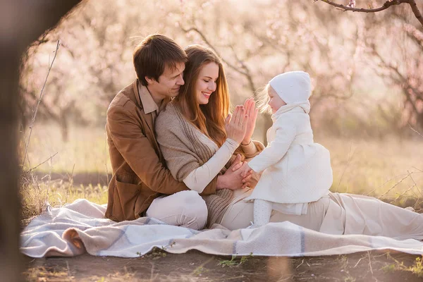 Glad Familj Vilar Picknick Blommande Persika Trädgårdar Vid Solnedgången Våren — Stockfoto