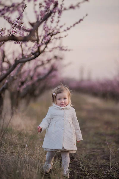 Portrait Little Beautiful Baby Blue Eyes White Coat Who Walks — Stock Photo, Image