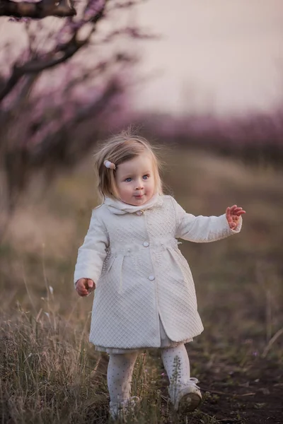 Portrait Little Beautiful Baby Blue Eyes White Coat Who Walks — Stock Photo, Image