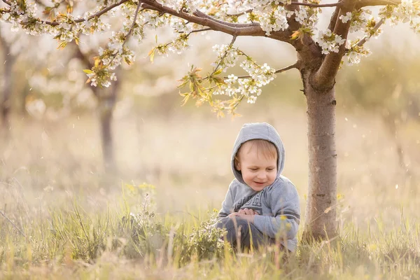 Ein Kleiner Blonder Junge Sitzt Unter Einem Blühenden Baum Grünen — Stockfoto