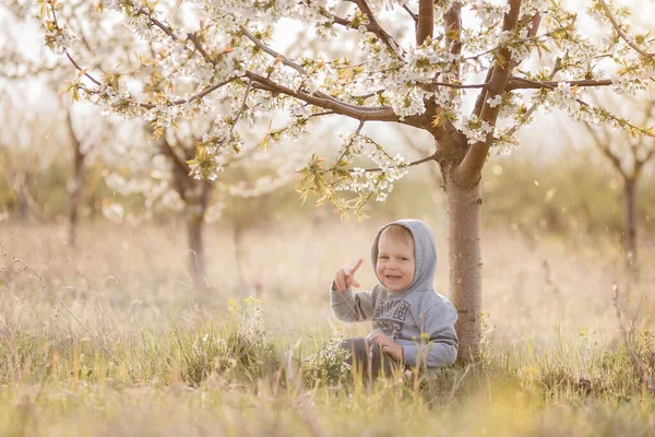 Ein Kleiner Blonder Junge Sitzt Unter Einem Blühenden Baum Grünen — Stockfoto