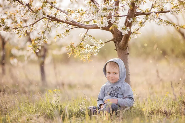 Liten Blond Pojke Sitter Ett Blommande Träd Grönt Gräs Grå — Stockfoto