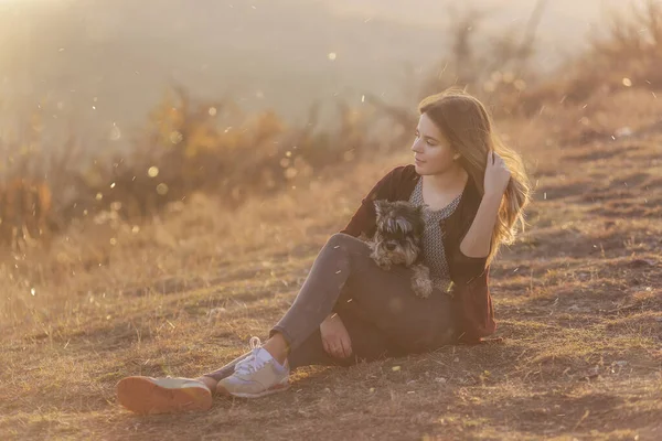 Moderní Dívka Chodí Schnauzerem Podzimními Kopci Sedí Spálené Trávě Láskyplně — Stock fotografie