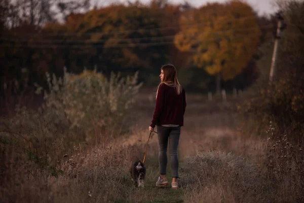 Moderní Běloška Kráčí Vodítku Vodítku Psa Schnauzer Podzimním Poli Při — Stock fotografie