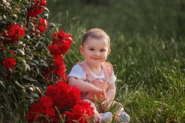 Küçük bir bebek kırmızı güllerin yanındaki yeşil çimlerde oturur. Pudralı tulumlu mutlu bir kız parkta yürümekten zevk alıyor, ellerini çırpıyor, güneş parlıyor. Bir çocuğun yakın plan portresi. Tasasız çocukluk