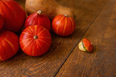 Küçük, kırmızı hokkaido balkabakları tahta zeminde yatıyordu. Cadılar Bayramı süslemeleri. Uzayı kopyala Tatil için kartpostal. Sonbahar taze sebze hasadı. Şükran günün kutlu olsun. Kapat. 