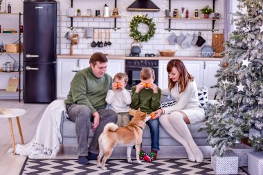 Mutlu bir aile mutfakta kanepede oturuyor, çocuklar mandalina yiyor, hediyeleri açıyor, Noel ağacının yanında Shiba-Inu köpeğiyle oynuyorlar. Yeni yılın ev atmosferi. Boşluğu kopyala