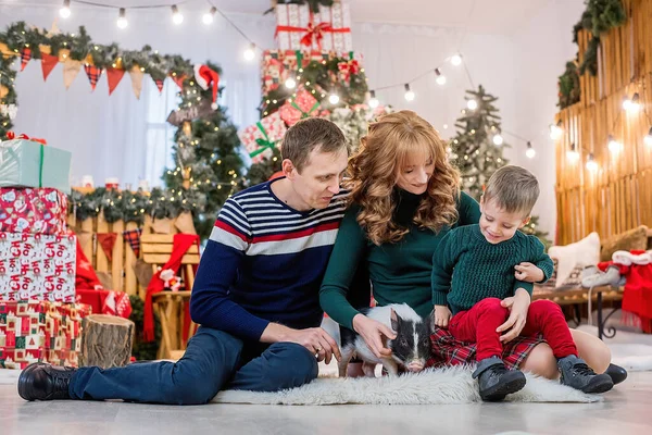 Una Familia Feliz Divierte Con Hijo Pequeño Mini Cerdo Casero — Foto de Stock