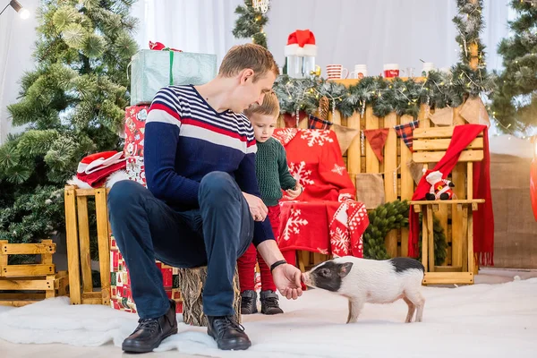 A young father plays with his little son and a mini pig in front of a red festive car, decorated with garlands of lights, Christmas trees with bokeh. Happy family is having fun. New year``s decoration