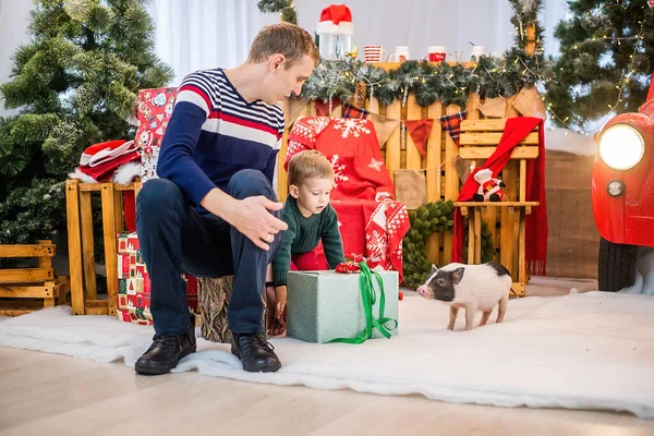 A young father plays with his little son and a mini pig in front of a red festive car, decorated with garlands of lights, Christmas trees with bokeh. Happy family is having fun. New year``s decoration