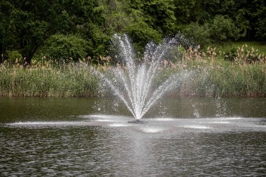 Serin bir gölete su sıçratan çeşme, bereketli sazlıklar ve yükselen ağaçlarla çevrili, güzel doğal bir manzarada huzurlu ve ferahlatıcı bir atmosfer yaratır.