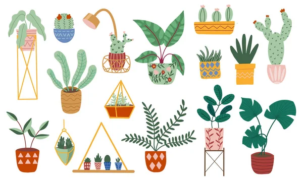 手描き家の植物のためのマクラメハンガーのセット — ストックベクタ