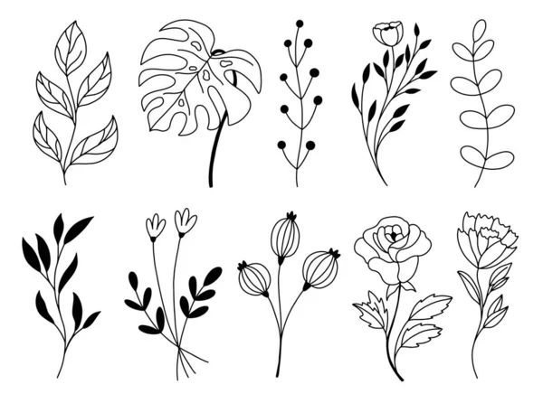 Conjunto de vector garabato dibujado a mano elementos florales — Vector de stock